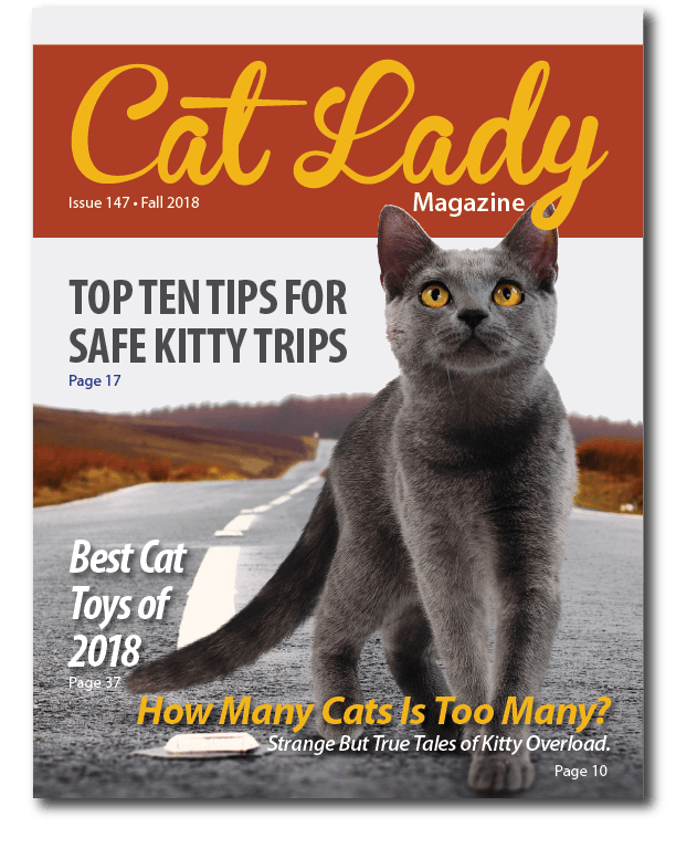 CatLady
